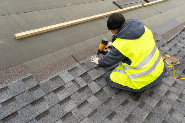 Best Roof Gutter Cleaning  in Farrell, PA